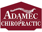 Chiropractor Rotterdam Schenectady | Adamec Chiropractic Logo